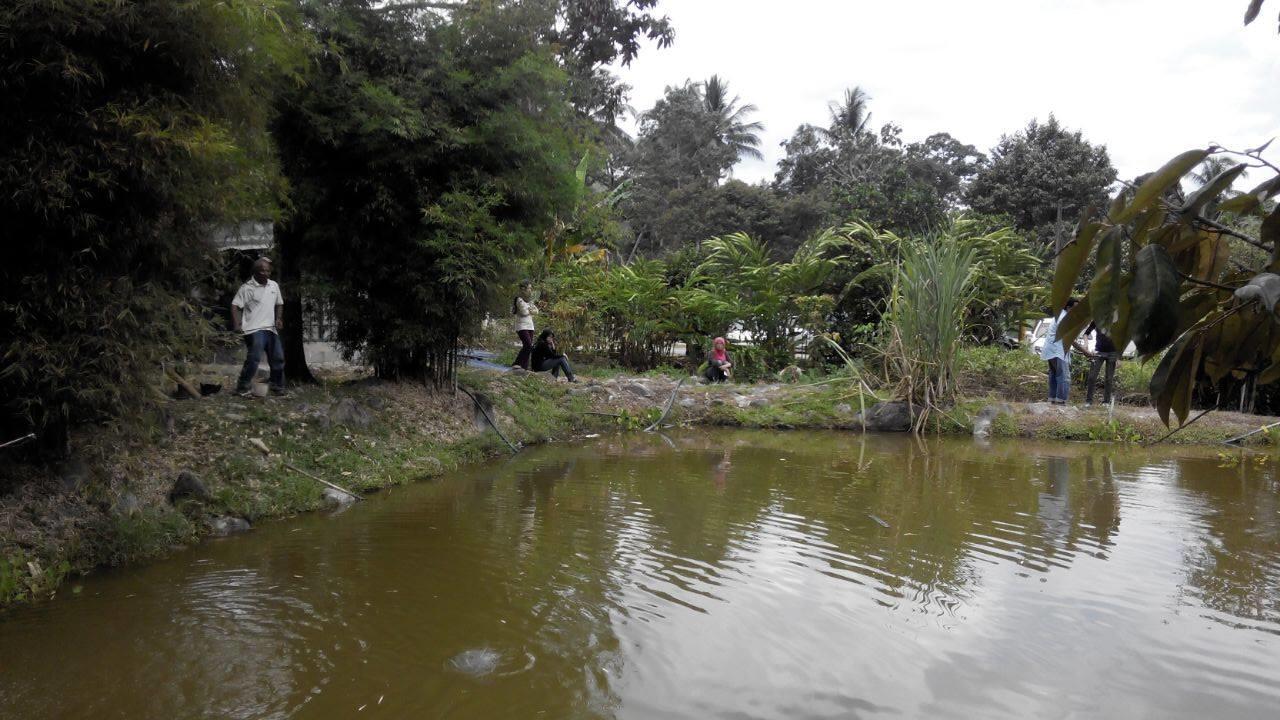 Lopoh Waterfront Budget Chalets Villa ฮูลูลางัต ภายนอก รูปภาพ
